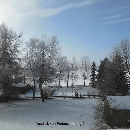 Haus Niemann Ferienwohnungen Deutscheinsiedel Exterior foto